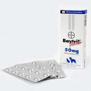 Baytril Flavoured 50 mg x 30 tablets