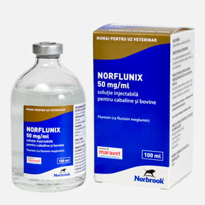 Norflunix 100 ml