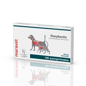 Doxybactin 200 mg x 10 tab caine
