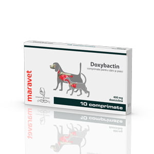 Doxybactin 400 mg x 10 tab caine