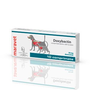 Doxybactin 50 mg x 10 tab caine/pisica