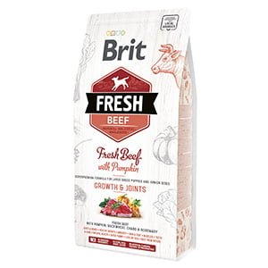 Brit Fresh Beef and Pumpkin Puppy Large 2.5 kg