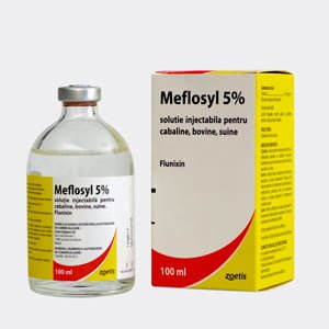 Meflosyl 100 ml