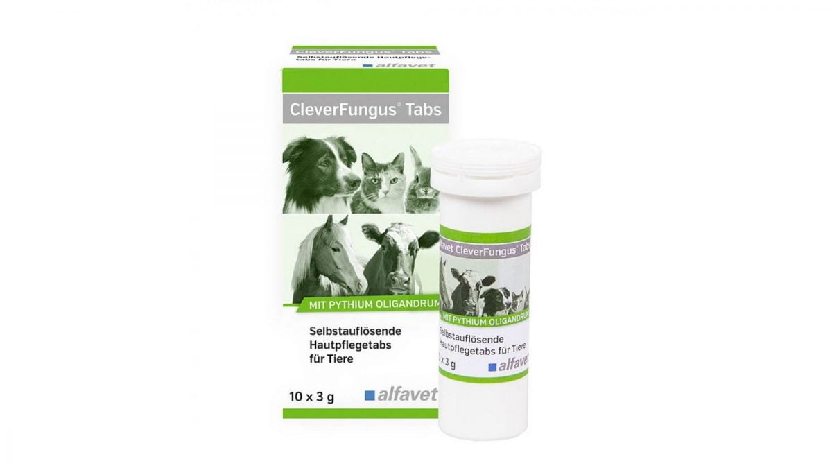 Alfavet Clever Fungus Tabs 10x3g