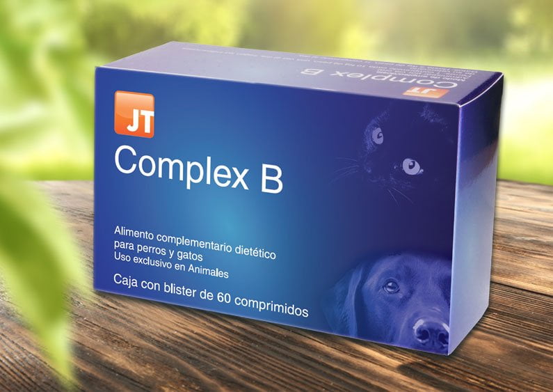 Jt - Complex B 60 Tablete