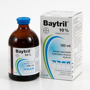 Baytril 10% x100 ml inj