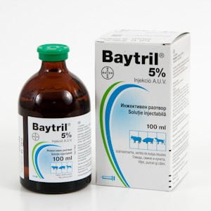 Baytril 5% x 100 ml inj