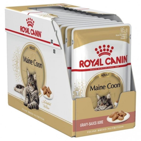 Royal Canin Maine Coon, 12 plicuri x 85 g