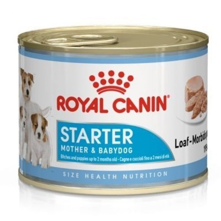 Royal Canin Starter Mousse, 195 g