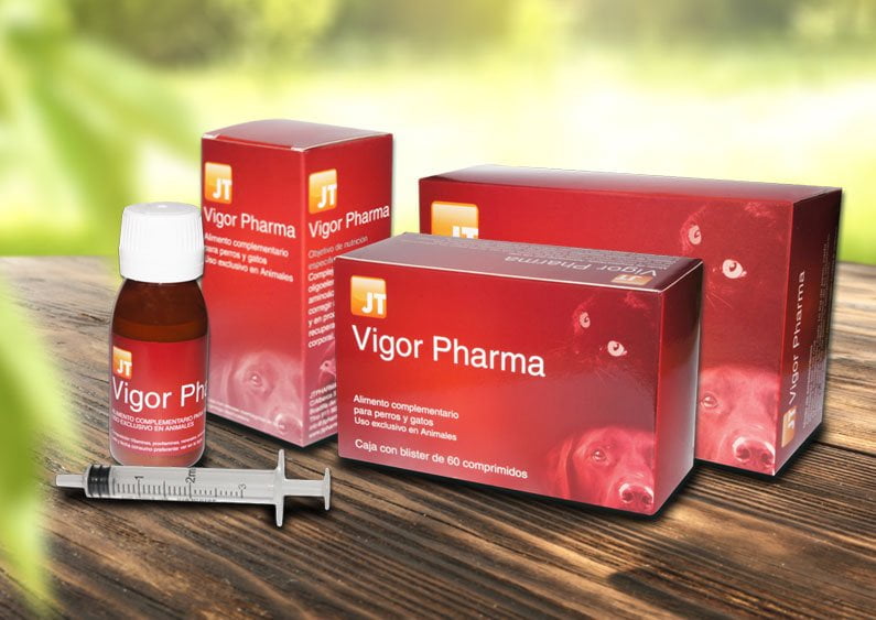 Jt- Vigor Pharma 60 Tablete