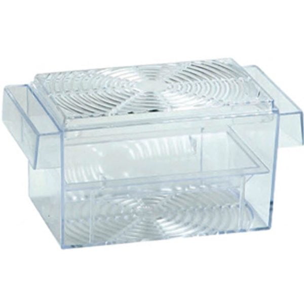 MATERNITATE PENTRU PESTI FLAMINGO GUPPY