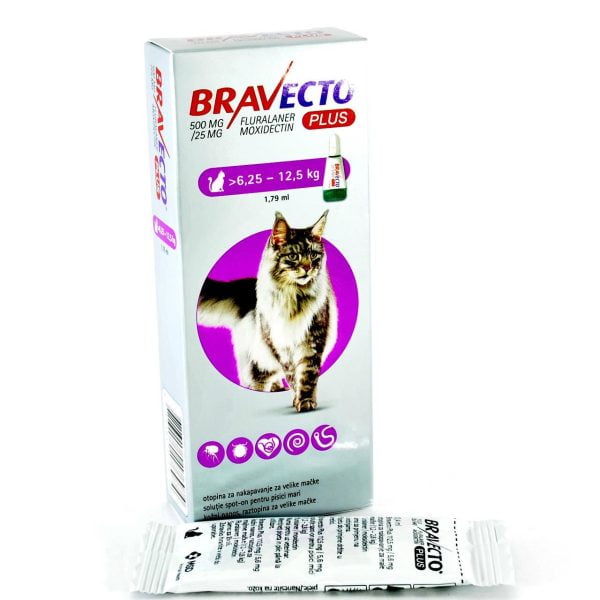 Bravecto plus spot on cat 500 mg*1 dz