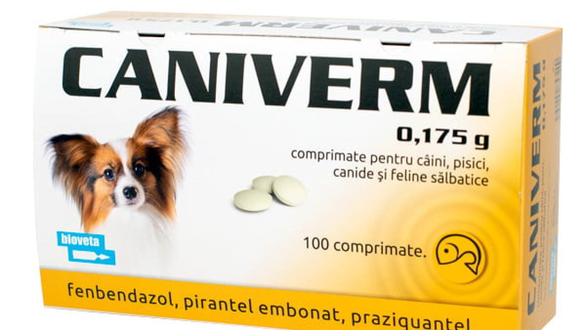 Caniverm palatabil 0,175 g x 100 tb (pisici si caini de talie mica