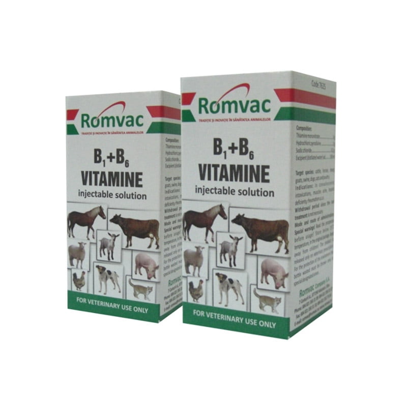 Vitamina b1+b6 20ml