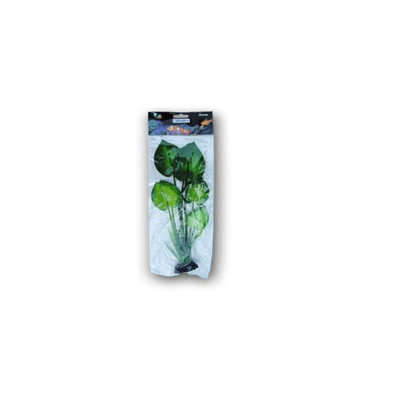PLANTE MATASE 30CM