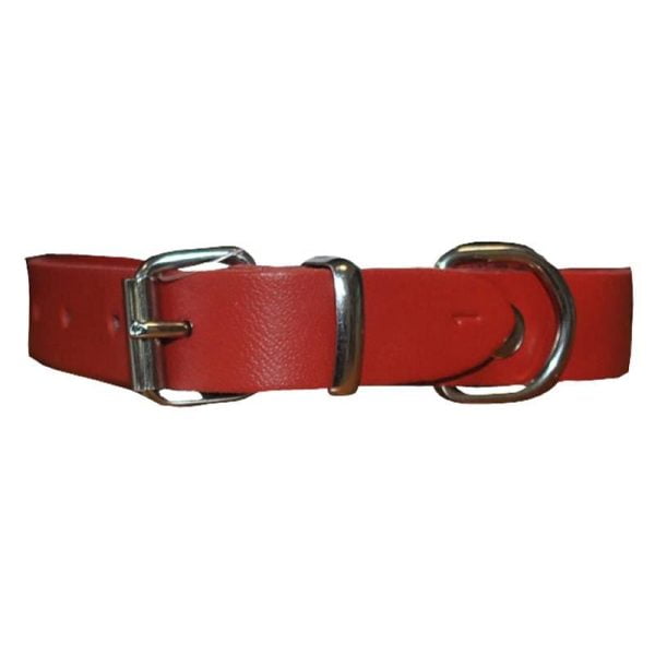 ZGARDA PENTRU CAINI  P NR.2 ROSU 2.0/45 CM