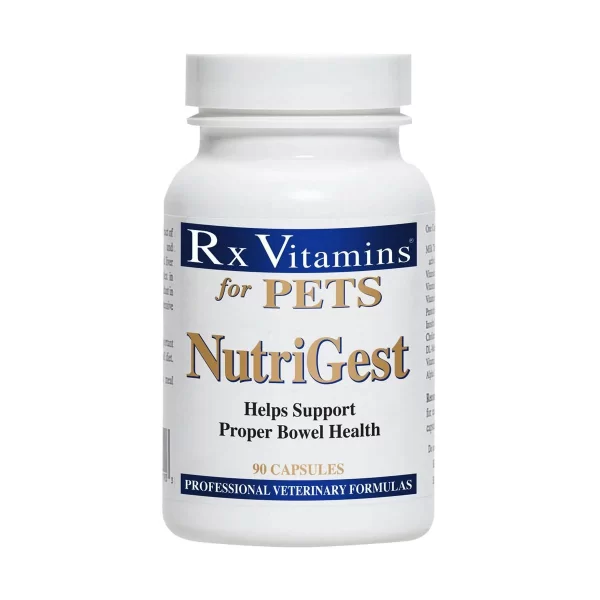 Rx NutriGest – 90 capsule