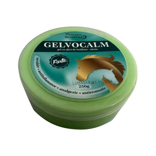 GELVOCALM FORTE GEL INCALZIRE-RACIRE 250G