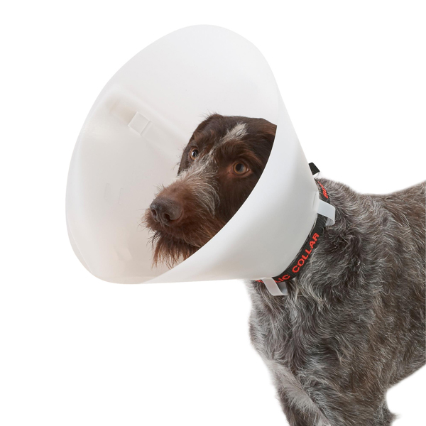 Colier de protectie elisabetan caine Buster combi pack