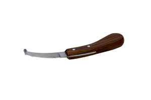 Reneta standard dreapta