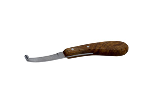 Reneta standard stanga