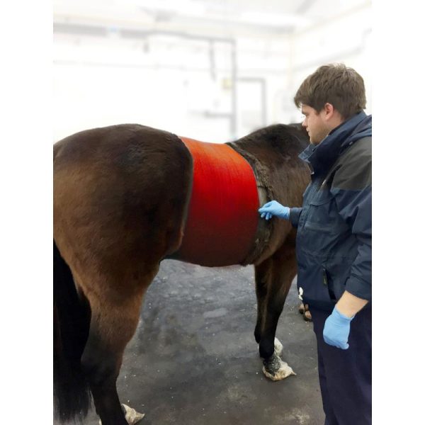 Bandaj elastic Vet-Flex