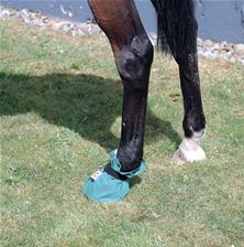 Punga Equivet hoof-it