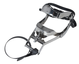 Speculum Equivet Meister