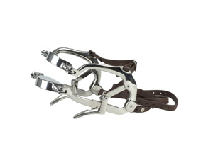 Speculum Equivet Millennium