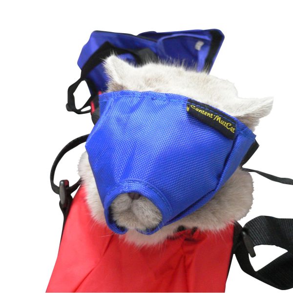 Botnita Nylon pentru pisici Buster