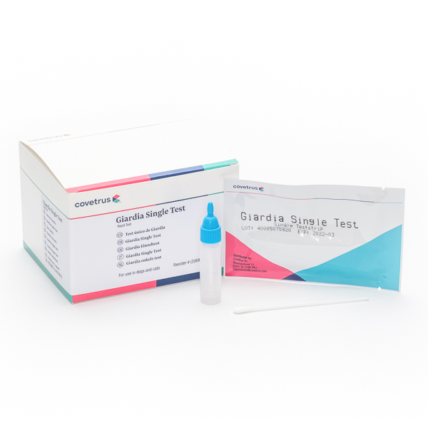Test rapid Giardia (caini