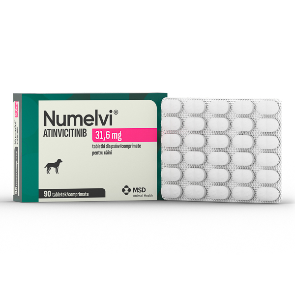 Numelvi 31
