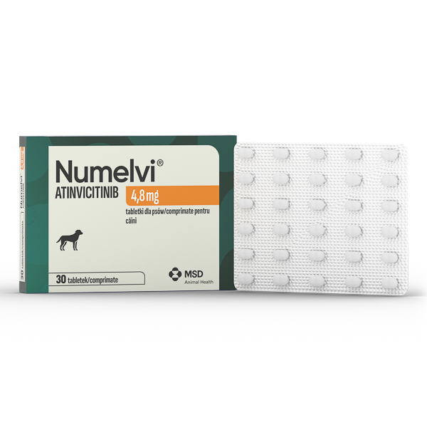 Numelvi 4