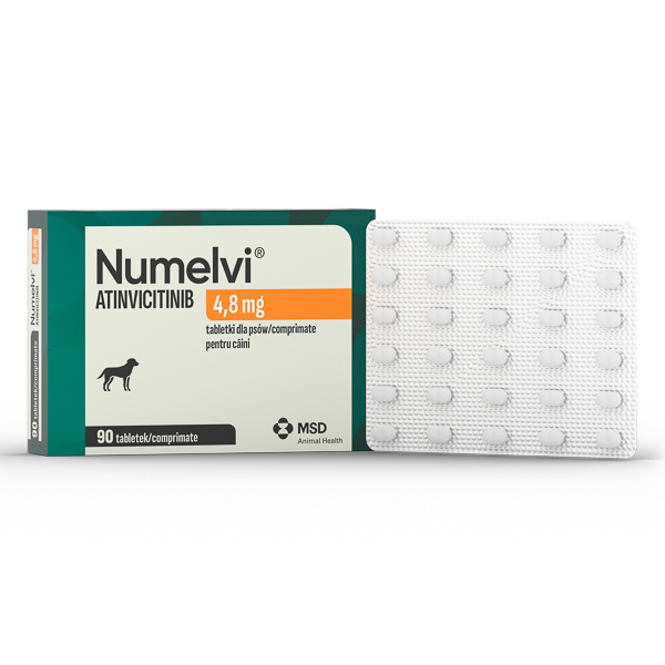 Numelvi 4