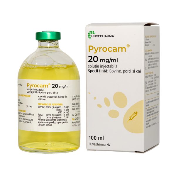 Pyrocam 20mg/ml inj x 100ml